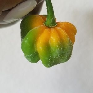 Meet your Posher, Dianne